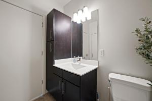 Downtown View Near Lake Michigan Plaza Black