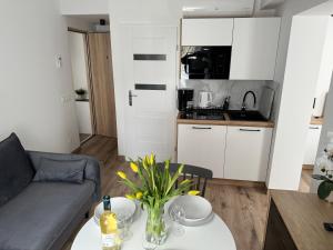 Apartamenty Misdroy Parking Gratis 250 m od plaży