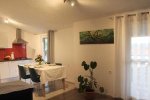 Apartman Oliva