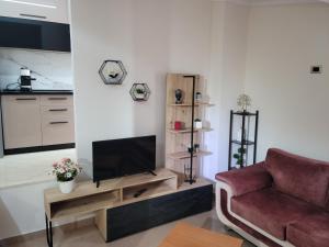 Gledis Apartment Tirana - Panoramic City Terrace