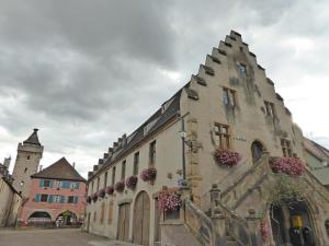 Appartements Studio Rouffach : photos des chambres