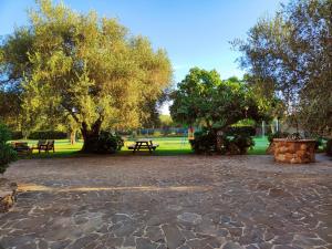 Nuraghe Bianco img37