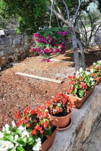 Holiday house with a parking space Cove Piskera, Solta - 21775