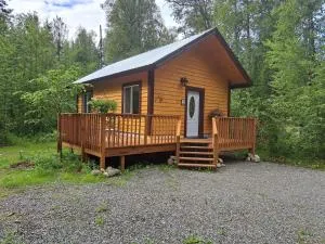 Talkeetna Fireweed cabin 2 - تالكيتنا