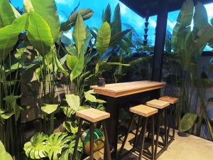 DCove Villa Private Pool Kuantan