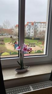 FeWo "Franzi" 5 Personen, zentrale Lage, Parkplatz