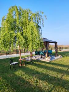 Willow Home