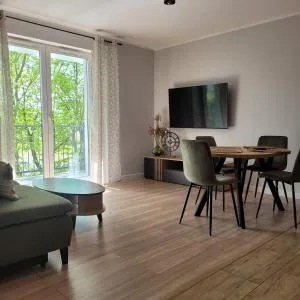 NATURA apartament - Gościszewo