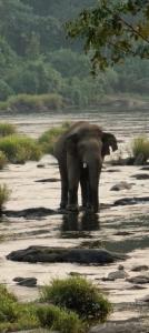 Clive Ten Resorts Athirappilly