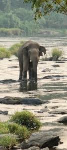 Clive Ten Resorts Athirappilly