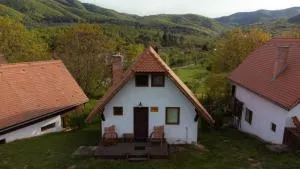 House Yvonne Camping Ananas Cisnadioara - 勒希纳里