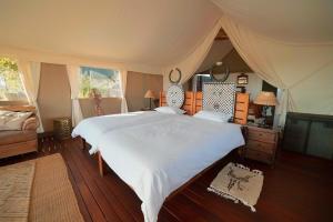 Ohorongo Tented Camp