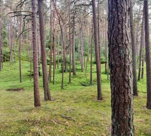 Holiday House BURSZTYN - Nature, Relax & Terrace by Noclegi Renters