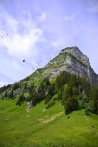 La Pierre à Catillon