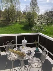 W Karkonoszach na Chacie #SAUNA # BILARD #LEŚNY PARK - Wojcieszyce