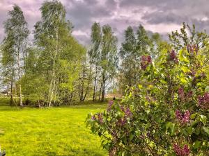 W Karkonoszach na Chacie #SAUNA # BILARD #LEŚNY PARK