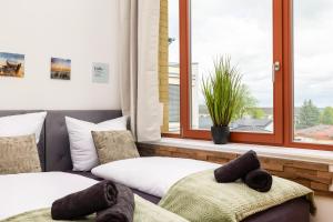 mayhome - das STRANDLOFT schönes Studioapartment mit Balkon, Küche und Tiefgarage - Sauna und Fitness direkt nebenan