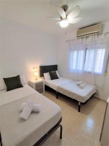 Girasol by Concept Flats