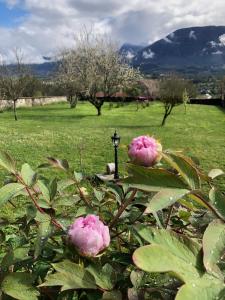 B&B / Chambres d'hotes CHATEAU D-APREMONT : photos des chambres