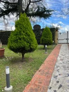 Affittacamere D’annunzio - Barbaricina