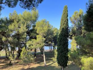 Apartment Kastanija with Balcony and Sea View