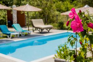 Alexander Aqua Oasis - Poolside Garden Getaway