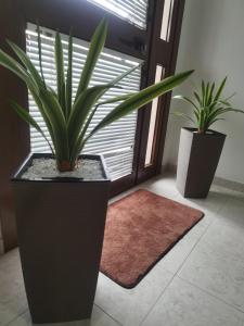 Hotel Edelweiss
