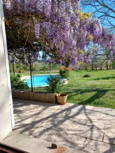 Maisons de vacances Gite de la glycine : Maison 1 Chambre