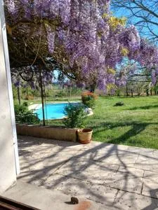 Gîte de la glycine - 贡托德诺加雷