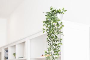 GuestReady - Feels like Heaven