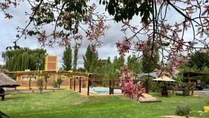 Cabañas El Sauce - Albardón