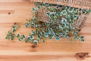 GuestReady - Coral Apartment