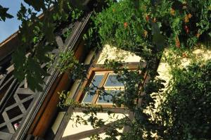 Gästezimmer - Fuhrhalterei Maul