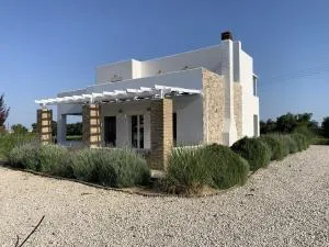 The Saint George - 马尔马里