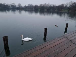 Casa Prospettiva Verde, tra natura e città