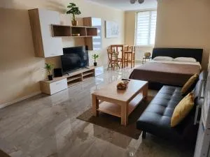 Studio apartman BORLIN - Netretić