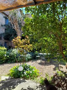 Appartements Zoralie : Suite Junior - Vue sur Jardin
