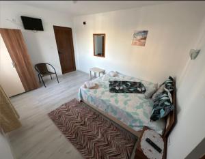 Casa EBO