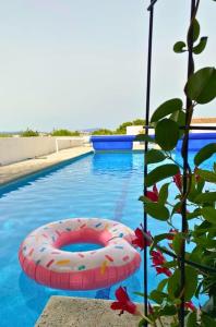 Villas Splendide VILLA 4 Chambres Piscine Classee 4 Etoiles : photos des chambres