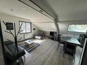 ARconciergerie Logement cosy centre-ville - 米利拉福雷