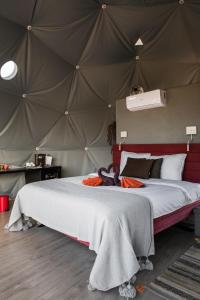 Glamping Casa Esteval
