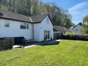 The Brambles - Mitchel Troy