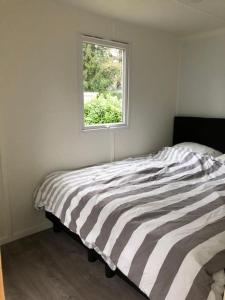 Knus chalet in de bossen van Epe met fietsen