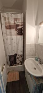 Appartements T2 ideal JO : photos des chambres