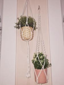 Magnolia Pink Studio New and fully equipped