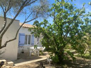 Maisons de vacances Gite climatise avec piscine sur les hauteurs de Bollene : photos des chambres
