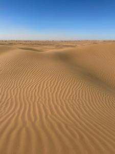 understars Luxury Camp