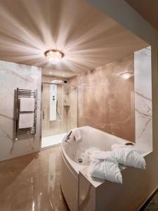 Double Room with Spa Bath room in Hotel Motel Top