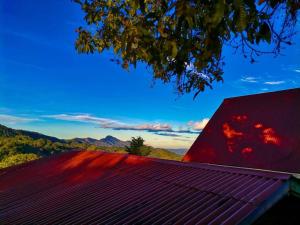 Cabaña Monarca – The BEST View in The Area!, Jardín