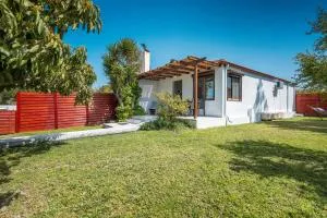 Ily’s House - Pastida